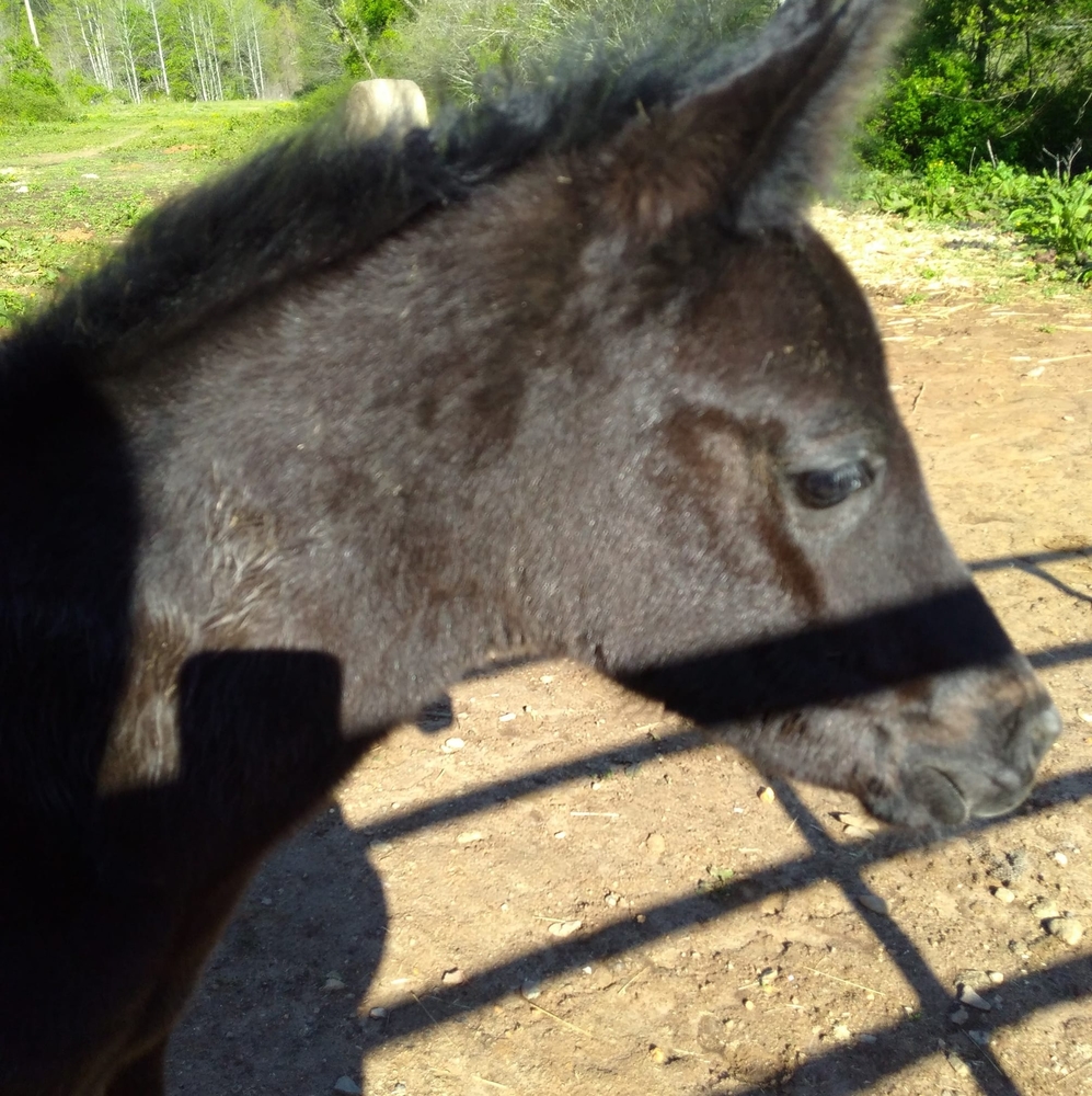 Meet your Posher, Jean